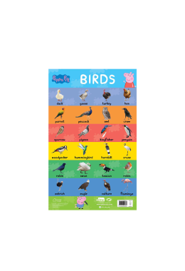 Learn with Peppa : Early Learning Birds Chart for Children