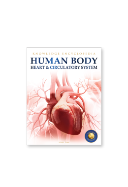 Human Body - Heart And Circulatory System: Knowledge Encyclopedia For Children