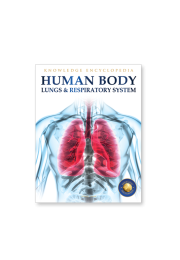 Human Body - Lungs And Respiratory System: Knowledge Encyclopedia For Children