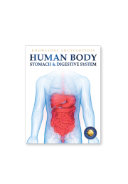 Human Body - Stomach And Digestive System: Knowledge Encyclopedia For Children