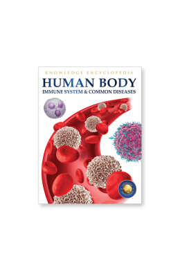 Human Body - Immune System And Common Diseases: Knowledge Encyclopedia For Children