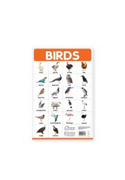 Birds - My First Early Learning Wall Posters: For Preschool, Kindergarten, Nursery And Homeschooling (19 Inches X 29 Inches)