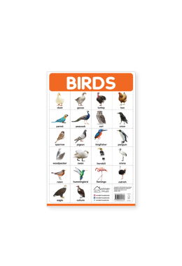 Birds - My First Early Learning Wall Posters: For Preschool, Kindergarten, Nursery And Homeschooling (19 Inches X 29 Inches)